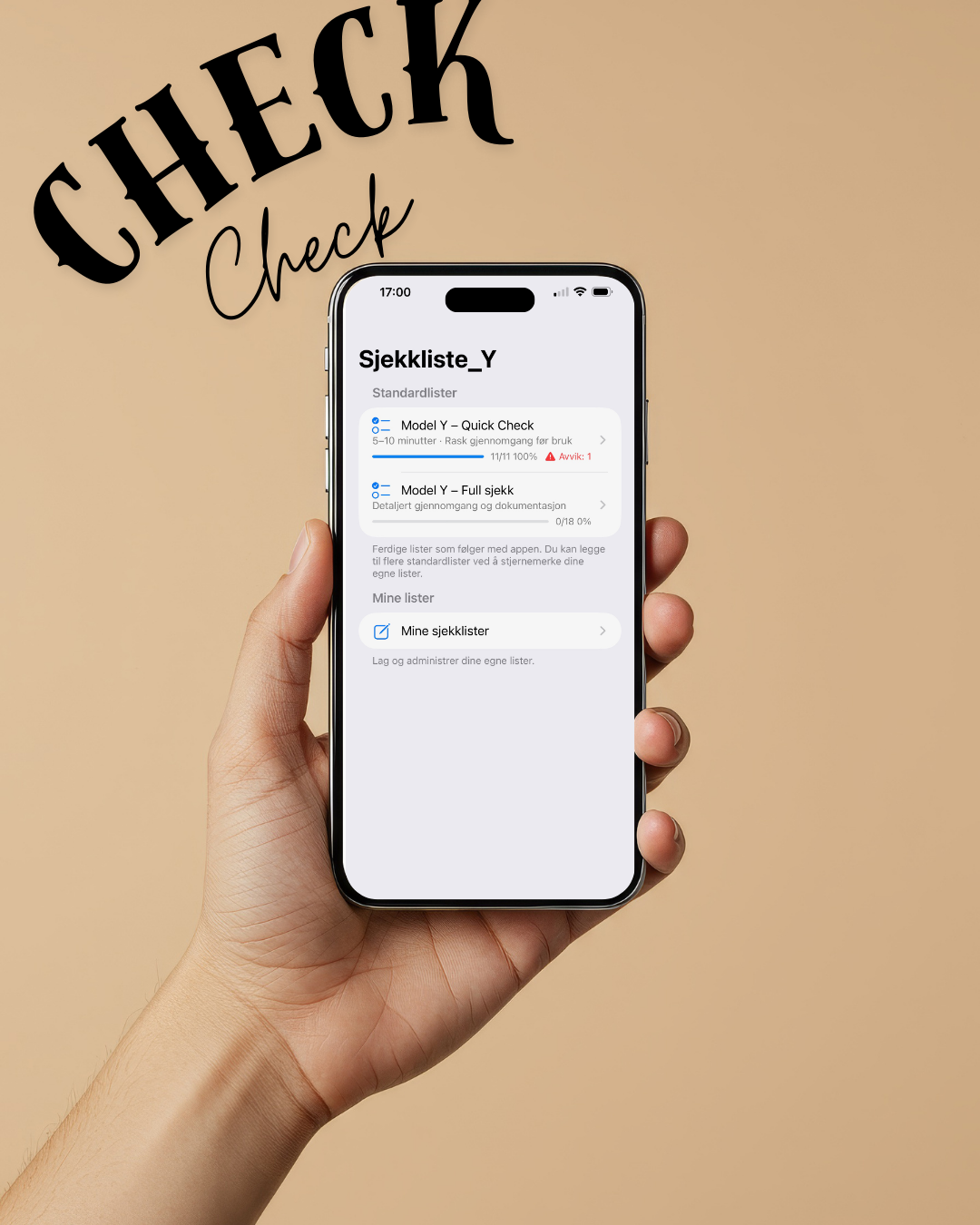 Sjekkliste_Y – skjermbilde